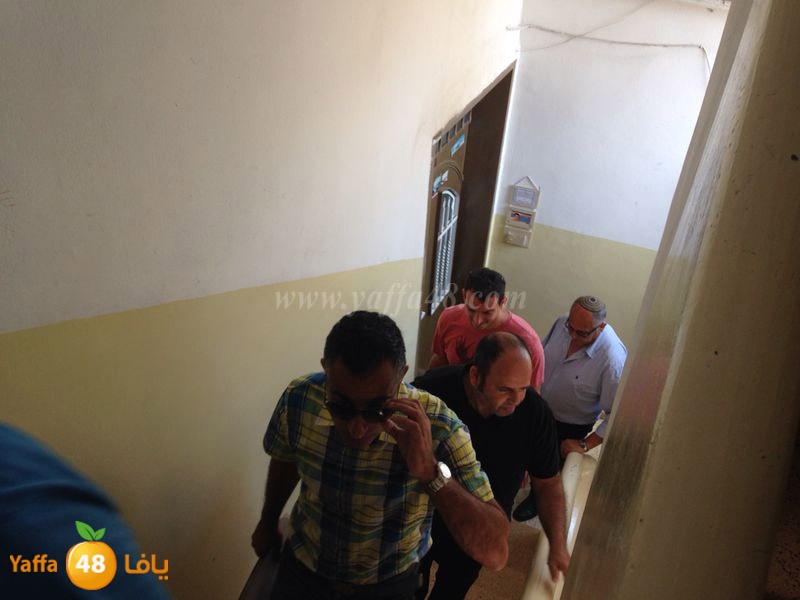 jawala 3amidar 05019 (2).JPG